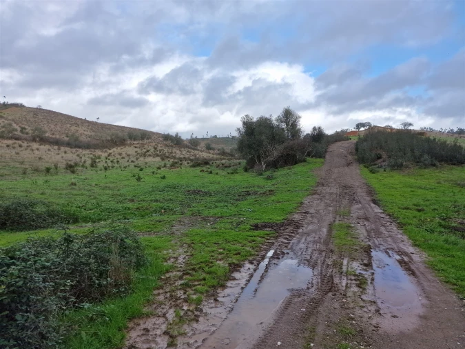 Quinta T0 para Venda em Saboia Foto 14