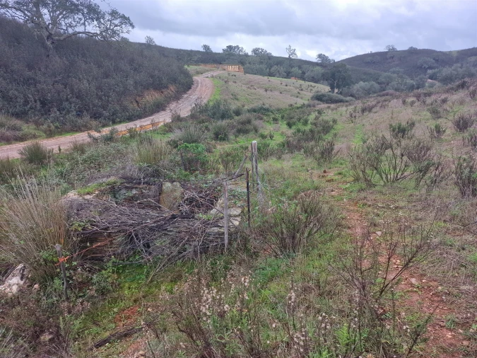 Quinta T0 para Venda em Saboia Foto 15