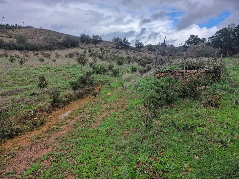 Quinta T0 para Venda em Saboia Foto 23