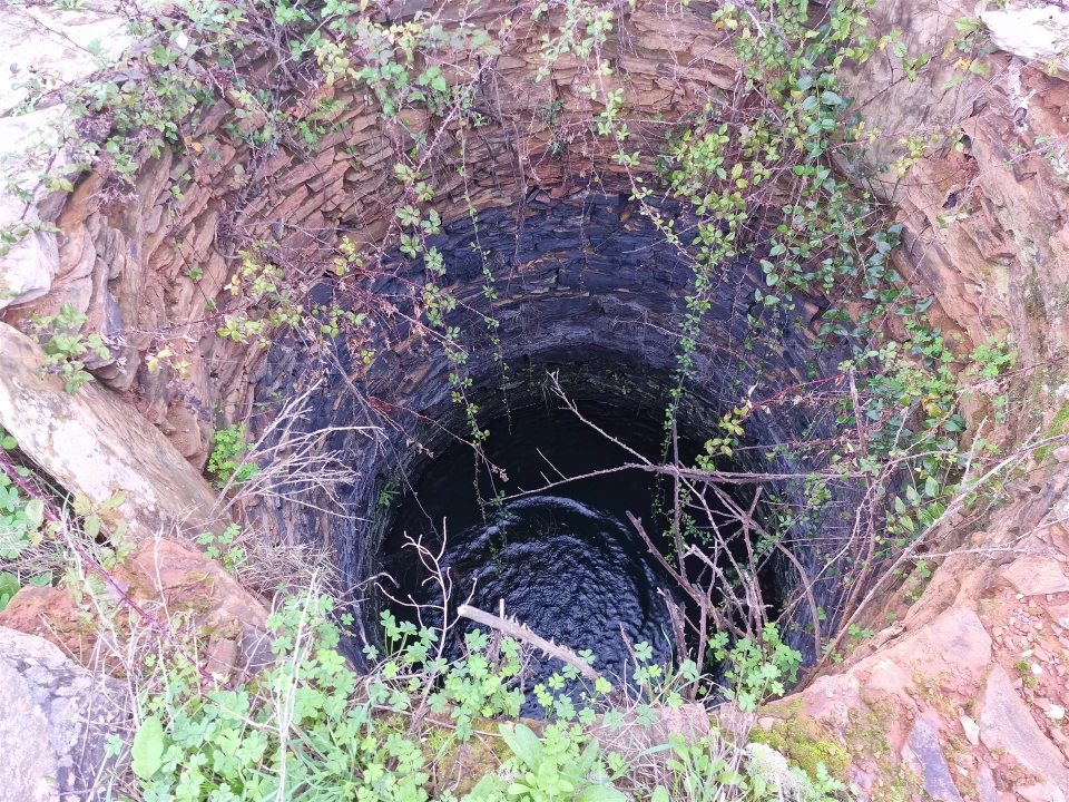 Quinta T0 para Venda em Saboia Foto 13