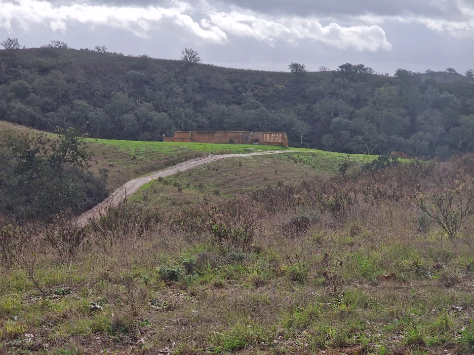 Quinta T0 para Venda em Saboia Foto 17