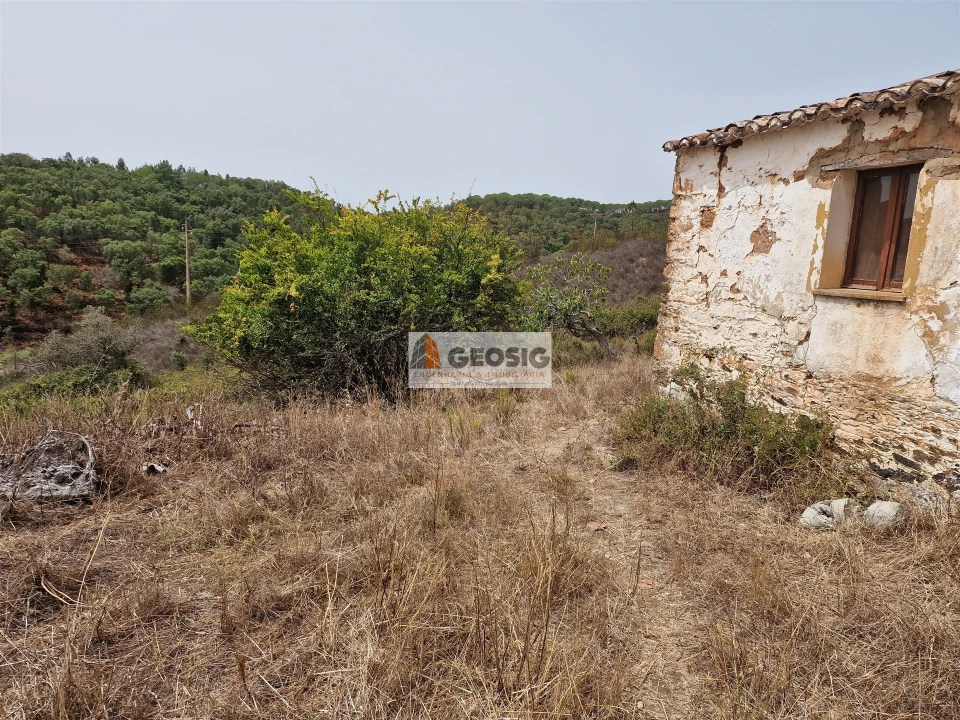 Quinta T0 para Venda em São Martinho das Amoreiras Foto 2