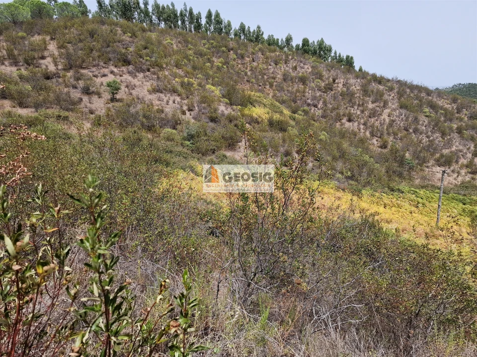 Quinta T0 para Venda em São Martinho das Amoreiras Foto 25