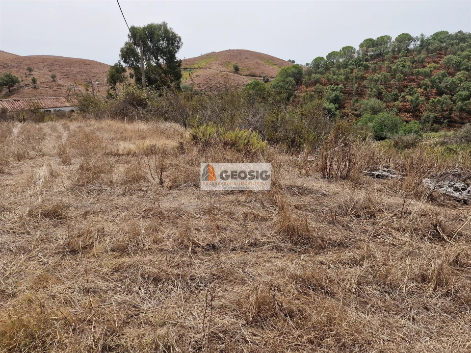 Quinta T0 para Venda em São Martinho das Amoreiras Foto 17