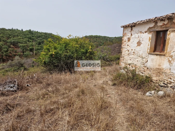 Quinta T0 para Venda em São Martinho das Amoreiras Foto 2