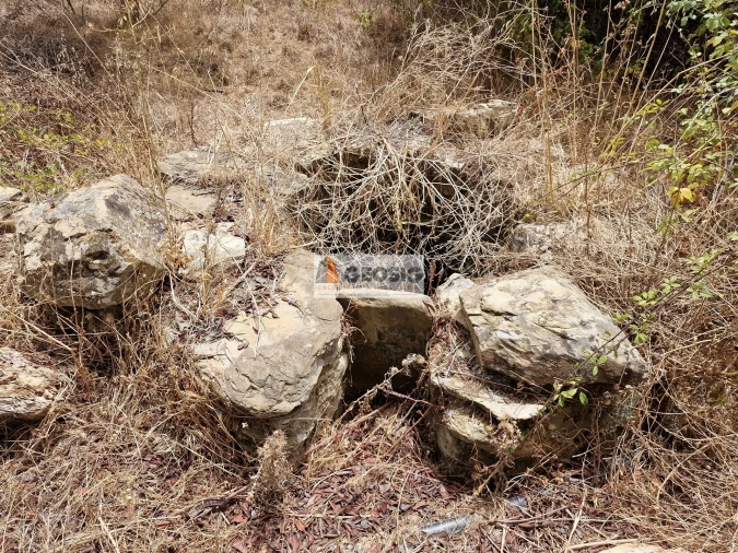 Quinta T0 para Venda em São Martinho das Amoreiras Foto 20