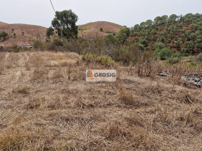 Quinta T0 para Venda em São Martinho das Amoreiras Foto 17