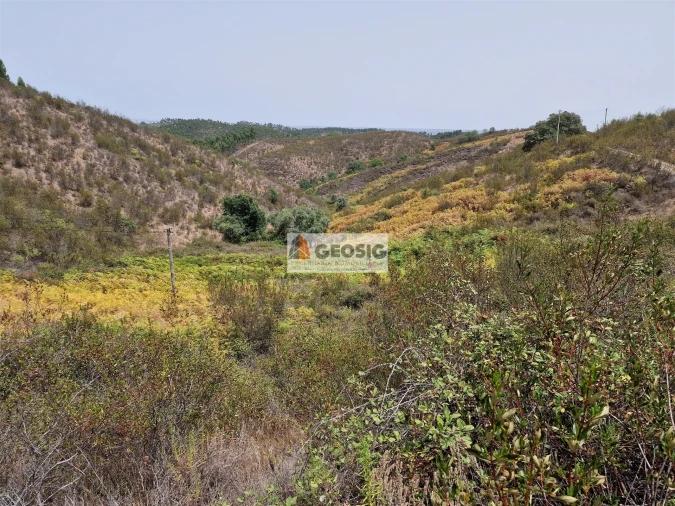 Quinta T0 para Venda em São Martinho das Amoreiras Foto 24
