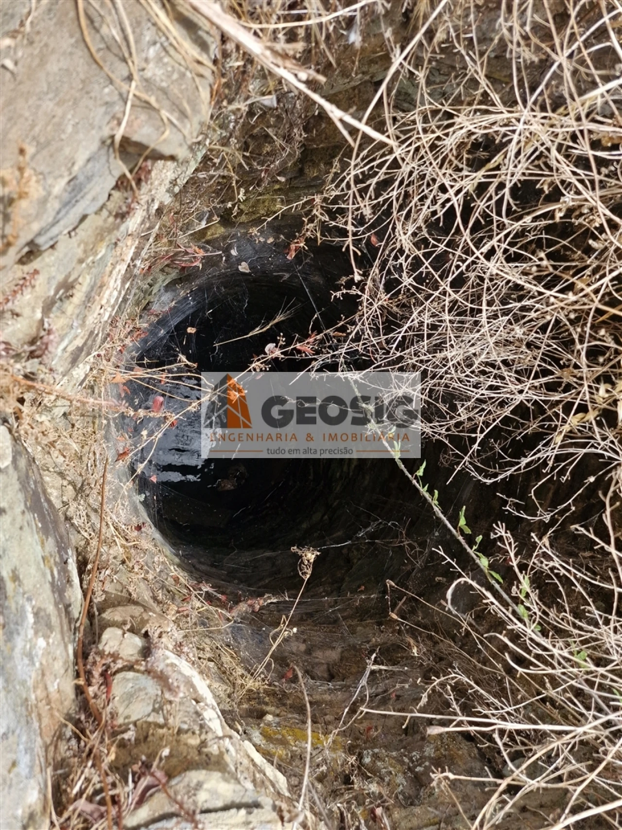 Quinta T0 para Venda em São Martinho das Amoreiras Foto 19