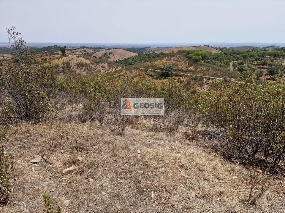 Quinta T0 para Venda em São Martinho das Amoreiras Foto 27