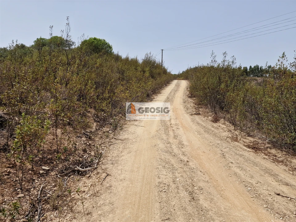 Quinta T0 para Venda em São Martinho das Amoreiras Foto 22