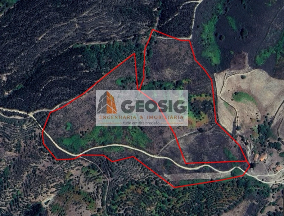 Quinta T0 para Venda em São Martinho das Amoreiras Foto 28