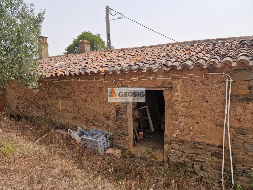 Quinta T0 para Venda em São Martinho das Amoreiras Foto 14