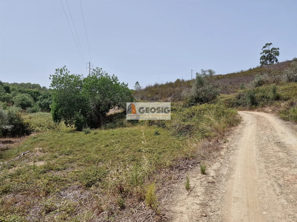 Quinta T0 para Venda em São Martinho das Amoreiras Foto 18