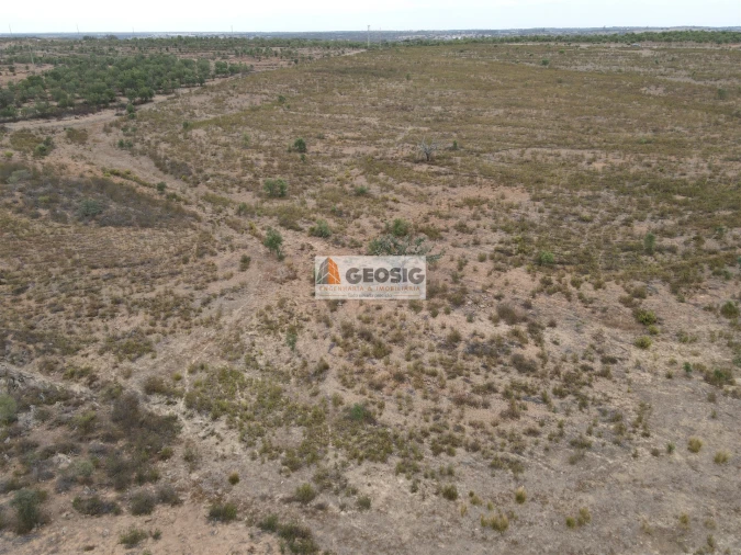 Quinta T2 para Venda em Santa Clara-A-Nova e Gomes Aires Foto 6