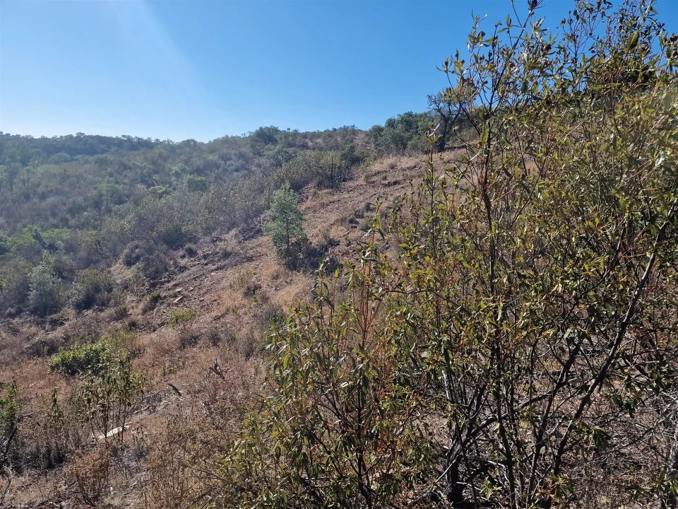 Terreno Agricola ou Rústico para Venda em São Barnabe Foto 1