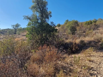 Terreno Agricola ou Rústico para Venda em São Barnabe