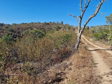 Terreno Agricola ou Rústico para Venda em São Barnabe