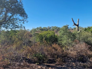 Terreno Agricola ou Rústico para Venda em São Barnabe