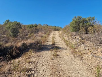 Terreno Agricola ou Rústico para Venda em São Barnabe