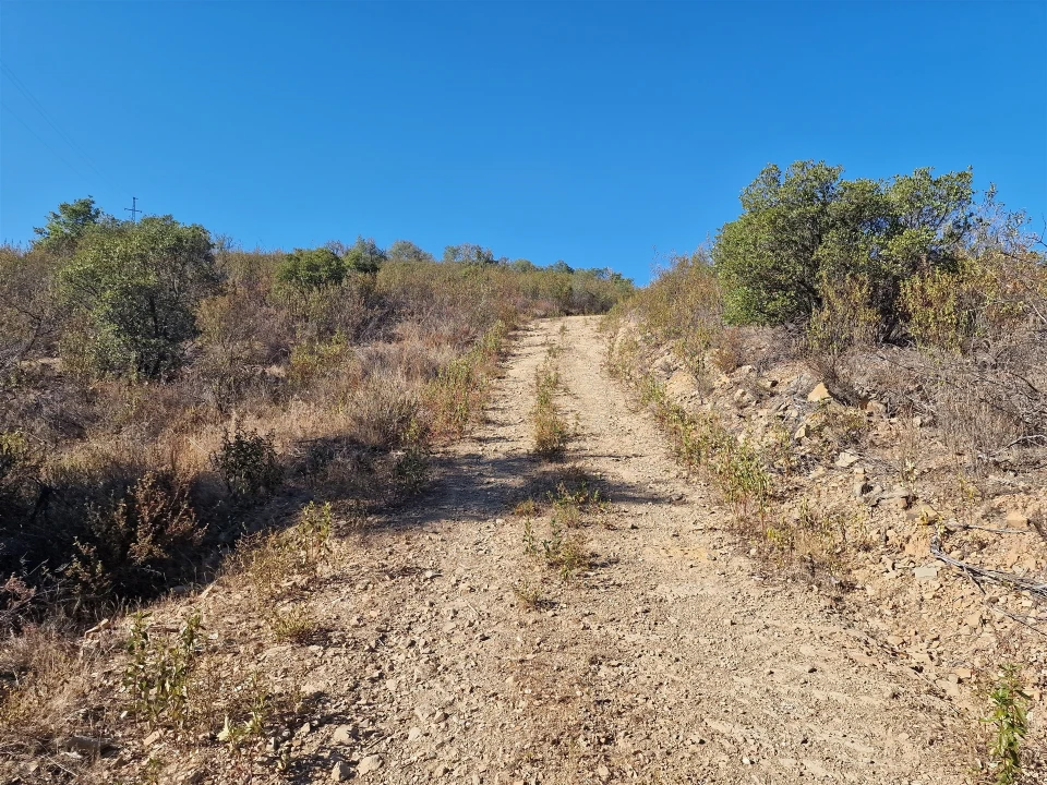 Terreno Agricola ou Rústico para Venda em São Barnabe Foto 2