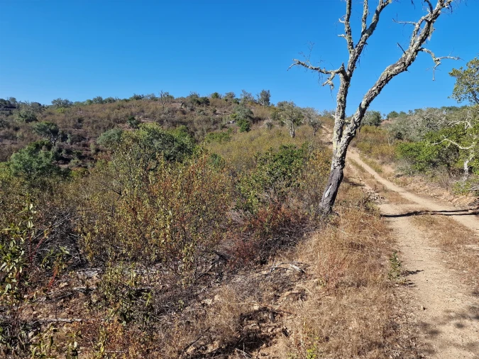 Terreno Agricola ou Rústico para Venda em São Barnabe Foto 4