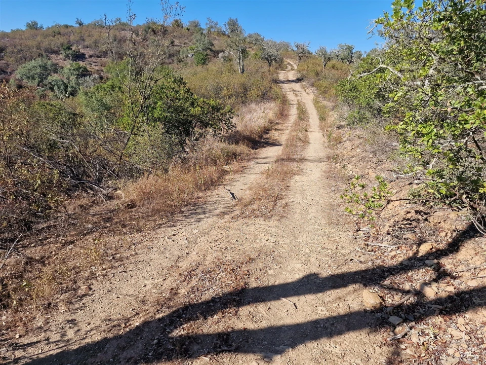 Terreno Agricola ou Rústico para Venda em São Barnabe Foto 3