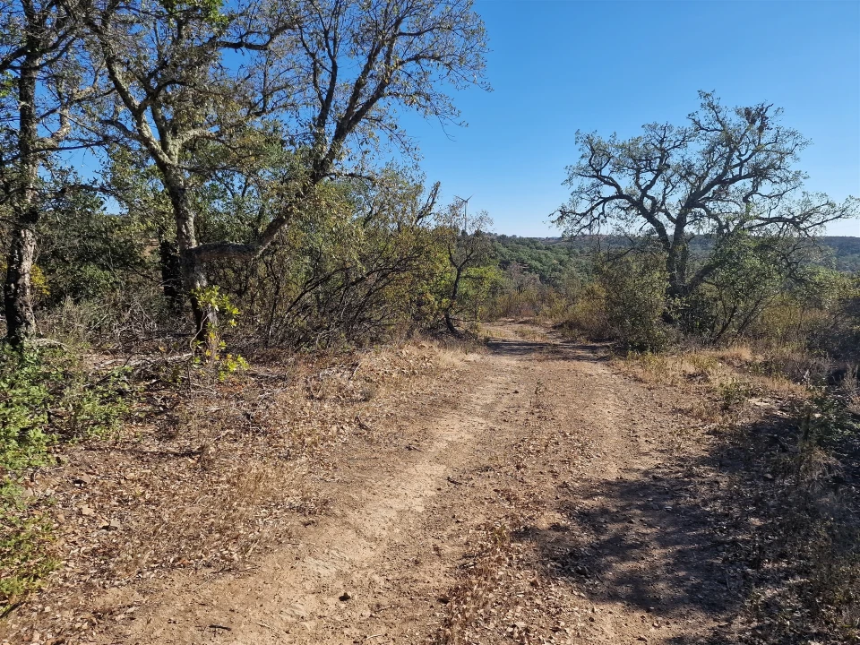 Terreno Agricola ou Rústico para Venda em São Barnabe Foto 7