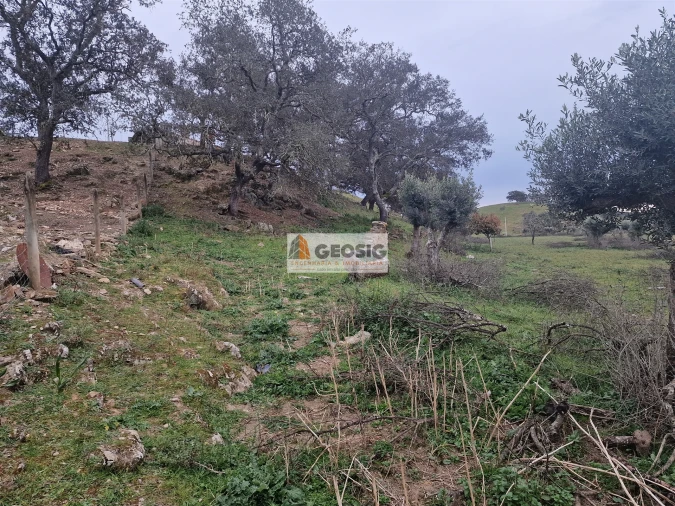 Moradia T3 para Venda em Ourique Foto 22