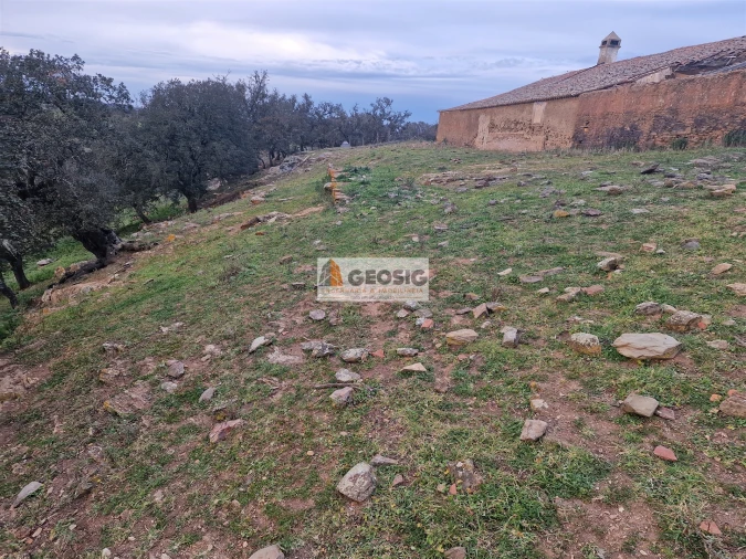 Moradia T3 para Venda em Ourique Foto 14