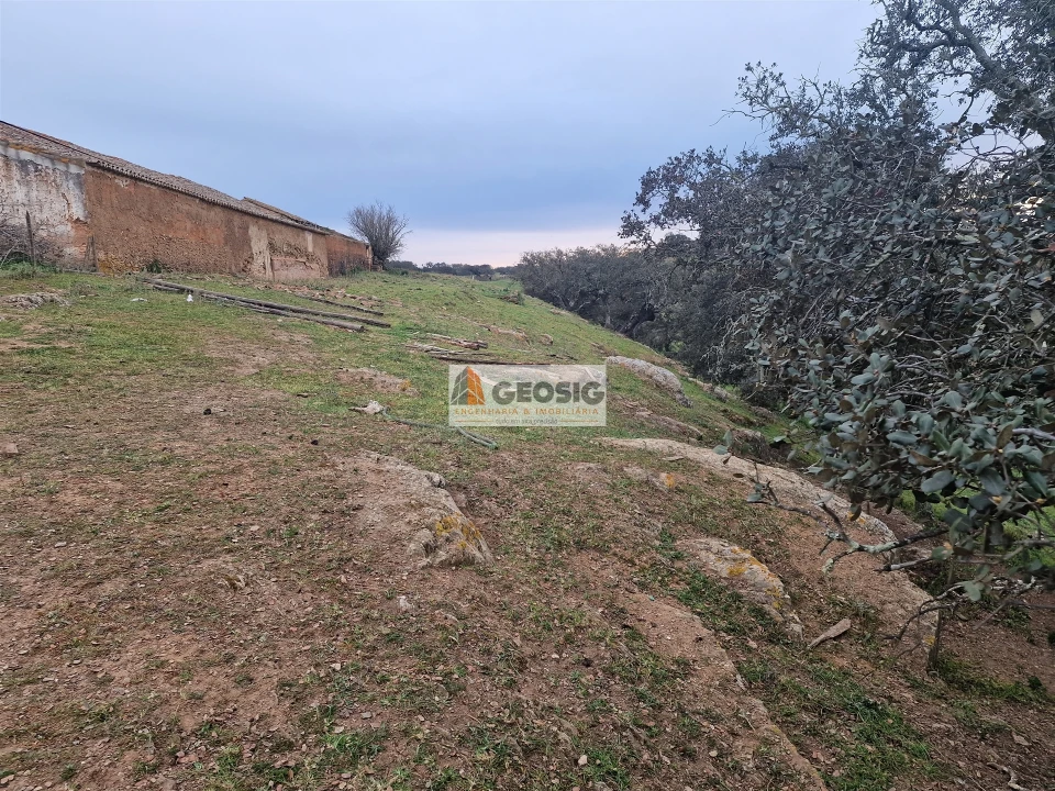 Moradia T3 para Venda em Ourique Foto 20