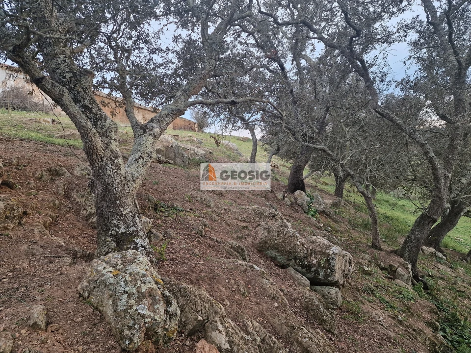 Moradia T3 para Venda em Ourique Foto 21