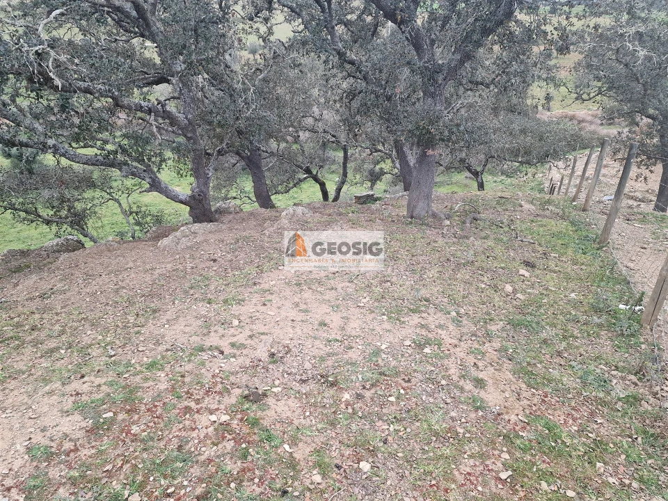 Moradia T3 para Venda em Ourique Foto 19