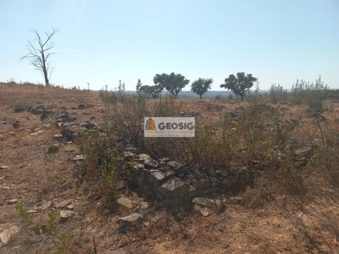 Quinta T1 para Venda em Santa Clara-A-Nova e Gomes Aires Foto 9