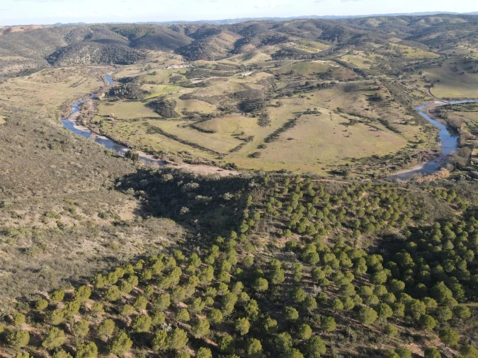 Terreno Agricola ou Rústico para Venda em Santa Cruz Foto 2