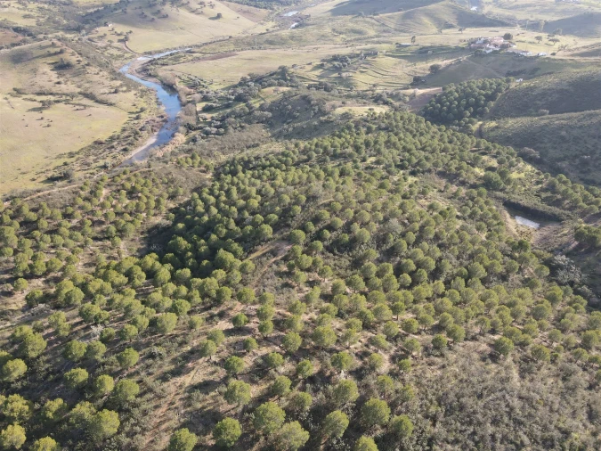 Terreno Agricola ou Rústico para Venda em Santa Cruz Foto 3