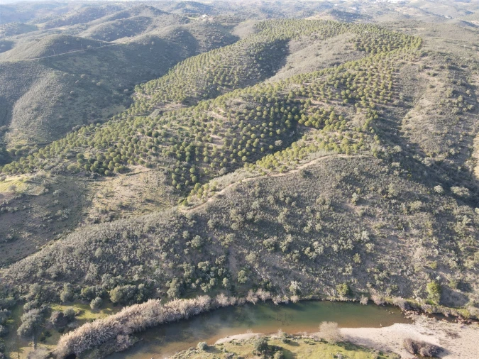 Terreno Agricola ou Rústico para Venda em Santa Cruz Foto 4