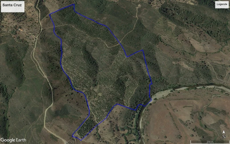 Terreno Agricola ou Rústico para Venda em Santa Cruz Foto 10