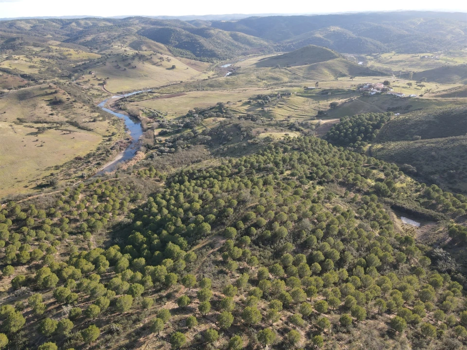 Terreno Agricola ou Rústico para Venda em Santa Cruz Foto 1