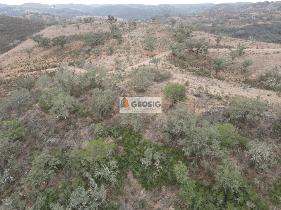 Terreno Agricola ou Rústico para Venda em Ourique Foto 20