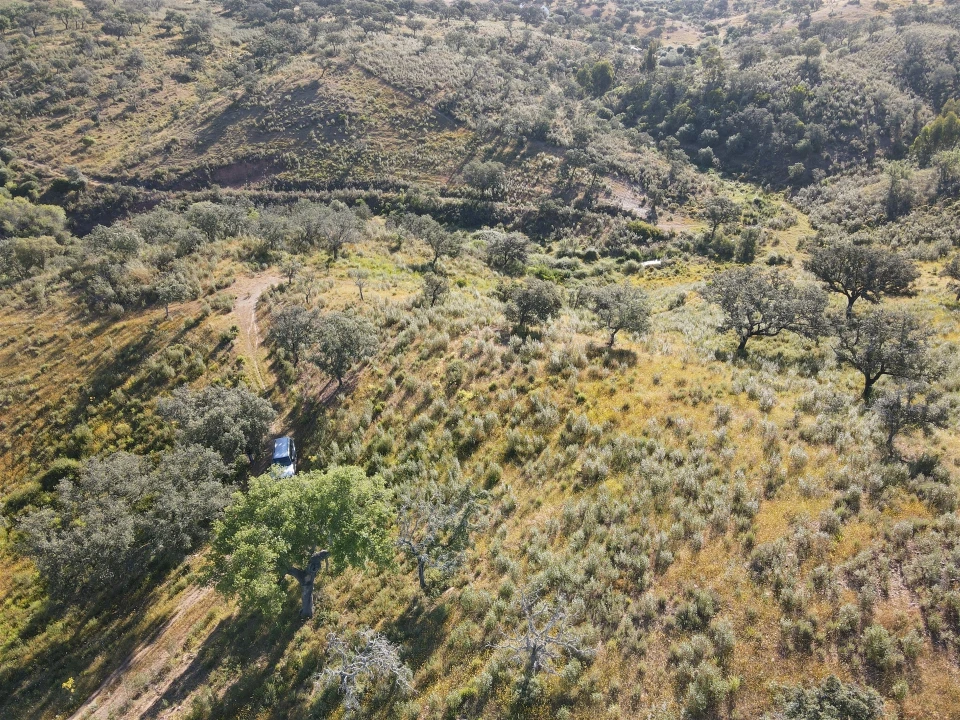 Terreno Agricola ou Rústico para Venda em Ourique Foto 4