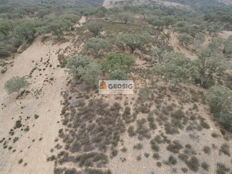 Terreno Agricola ou Rústico para Venda em Ourique Foto 16
