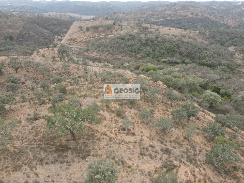 Terreno Agricola ou Rústico para Venda em Ourique Foto 17