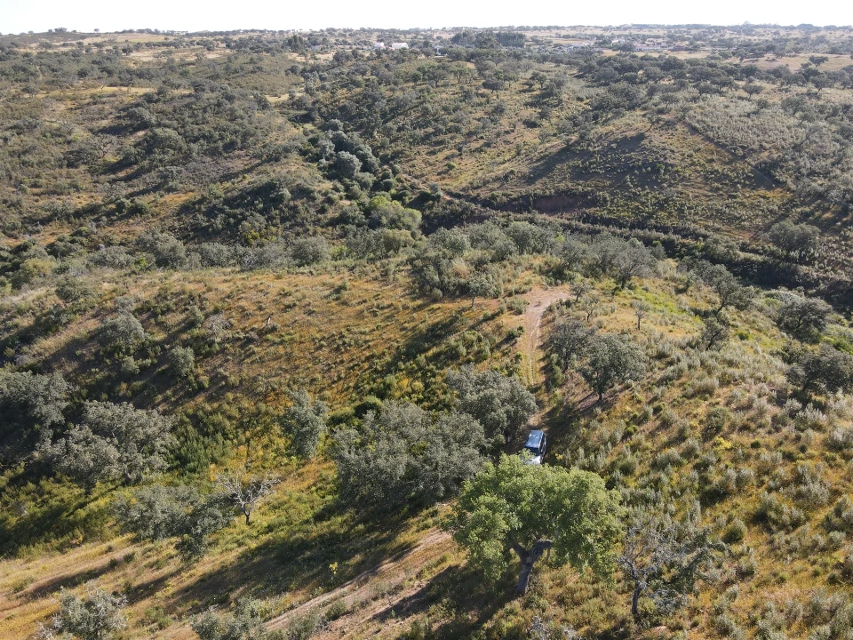 Terreno Agricola ou Rústico para Venda em Ourique Foto 8
