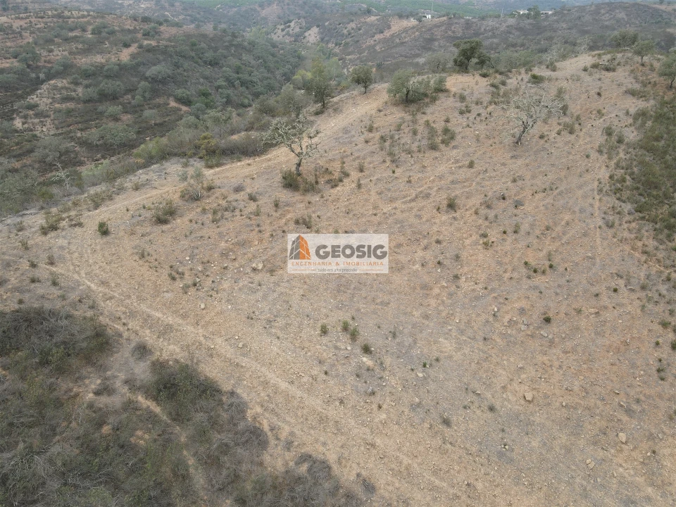 Terreno Agricola ou Rústico para Venda em Ourique Foto 22
