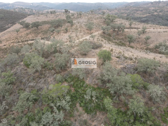 Terreno Agricola ou Rústico para Venda em Ourique Foto 20