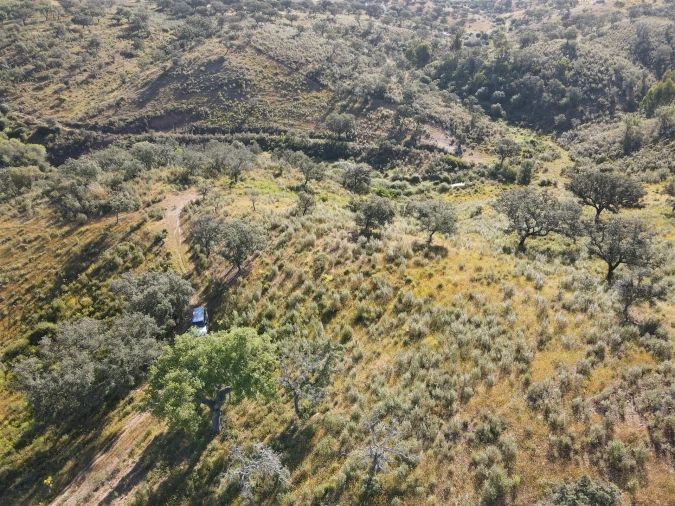 Terreno Agricola ou Rústico para Venda em Ourique Foto 4