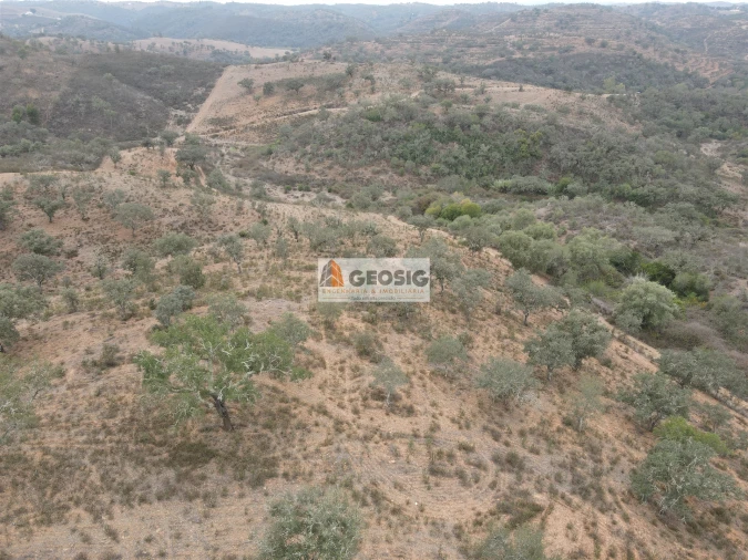Terreno Agricola ou Rústico para Venda em Ourique Foto 17