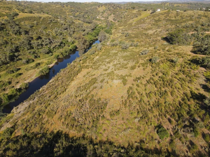 Terreno Agricola ou Rústico para Venda em Ourique Foto 1