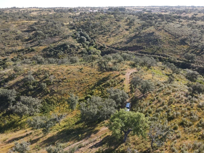 Terreno Agricola ou Rústico para Venda em Ourique Foto 8